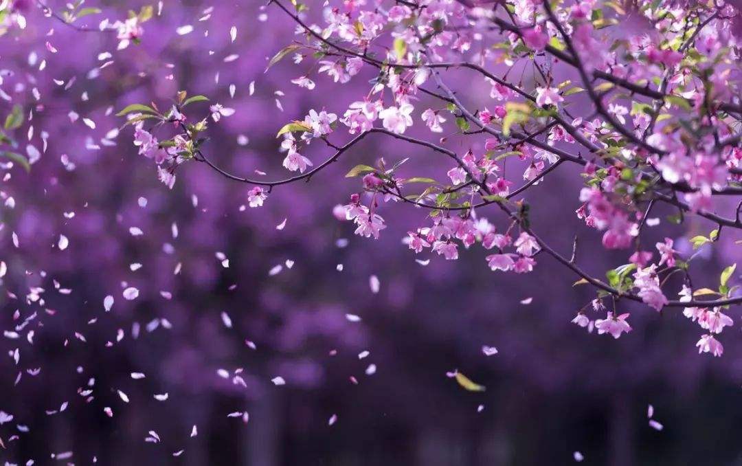 花了多少钱？