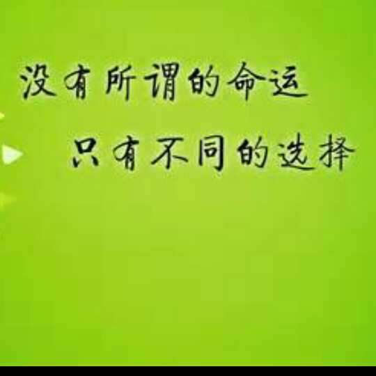 切割道路有一条路