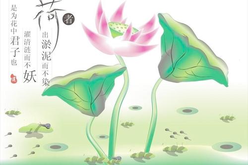 乐天夏天