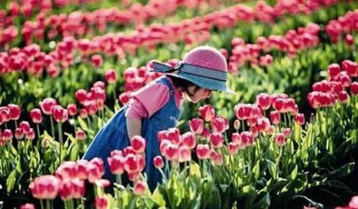 走在花丛中