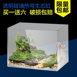 龟缸清理