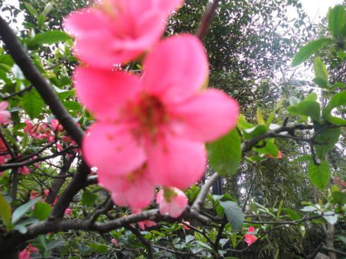 新年的观点