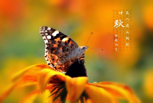 同心合作社​​对抗流行病