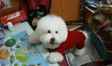 有你我的年华不寂寞作文