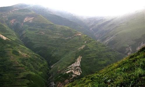 youbai山