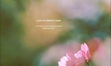 在这不寻常的春天里