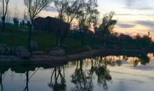 我家门前这条河