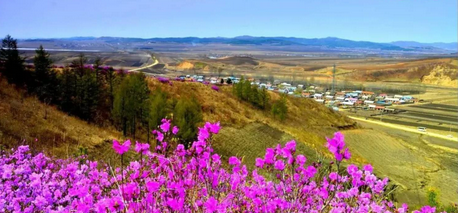 迷人的玉山