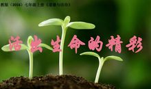 让道德之花绽放光彩