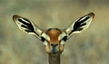 我从没有这样自责过