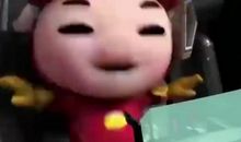 小袋鼠的隐身衣