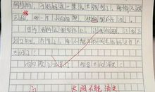 想看见你的笑作文