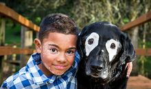 一段让我温暖的网络经历