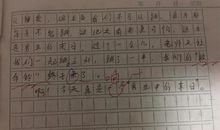 生命的力量作文800字高中