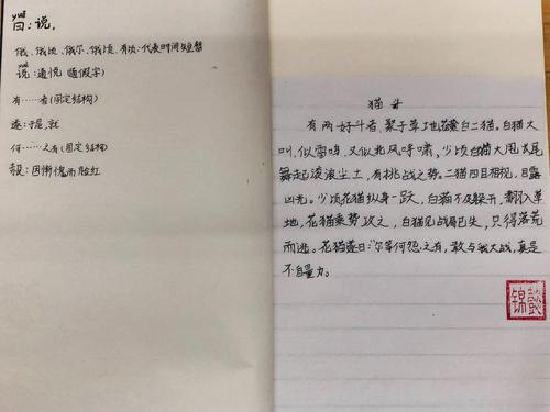 五年级小古散文写作