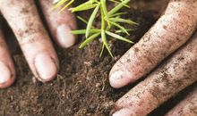 蚯蚓给了我启发