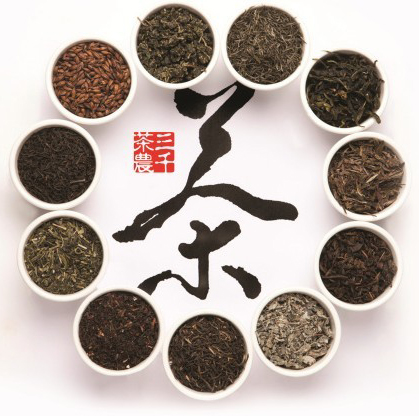 寻找茶的魅力