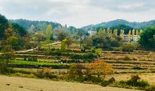 在秋天的山野中