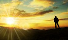 遥望故乡那枣树