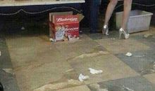 胆大妄为的童年