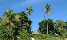 生命因年轻而精彩