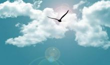 给自己一些梦想