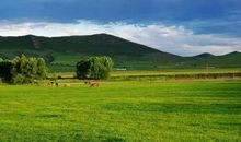 总有一个理由使我们微笑