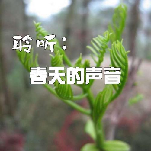 春天在心里