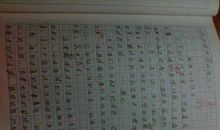 书籍伴我成长作文