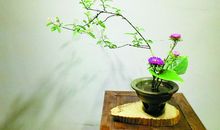 拉紧宽容之花的手