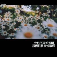 人民的追求，笑，没有