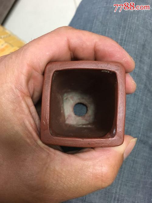 记忆花盆