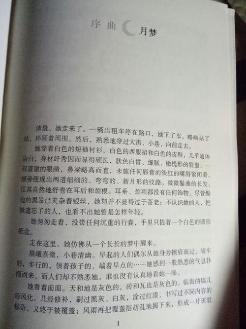 在穆斯林的埋葬概念之后