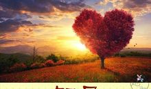 留在我心底的话语