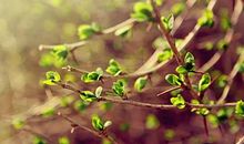 留在我记忆深处的回忆