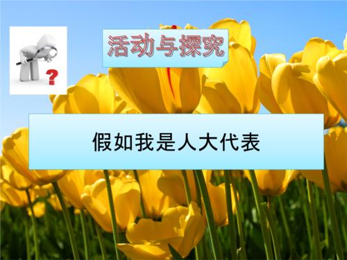 如果我是两次会议的代表