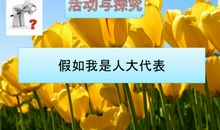 假如我是两会代表