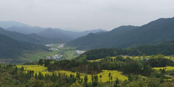 漂亮的！乡村风景
