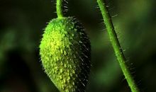 我与月光不期而遇