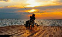 钓鱼使我懂得道理