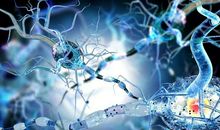 在音乐的王国里漫步