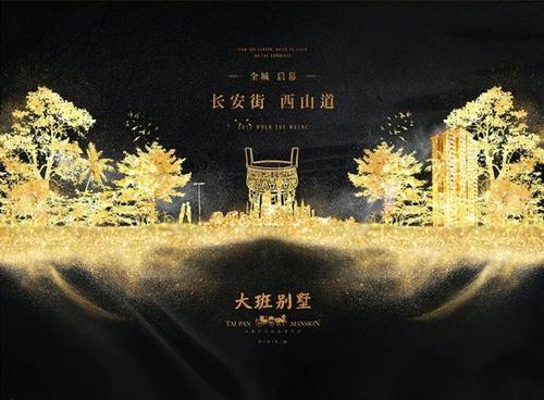 查看广告