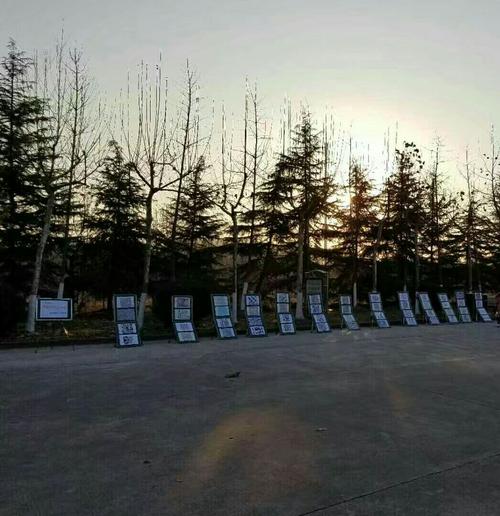 花季校园时间