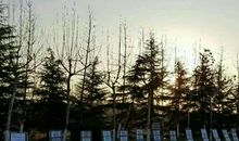 花季般的校园时光