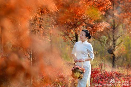 如何衡量你爱我的时间