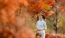 如何丈量你爱我的时光