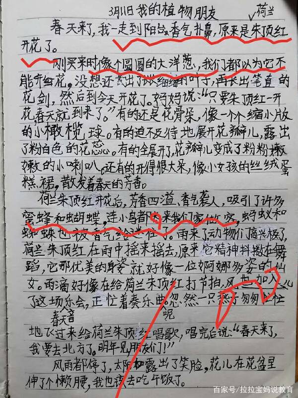 三年级我的植物朋友组成300字