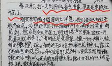 三年级我的植物朋友作文300字