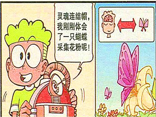 我变成了一只苍蝇