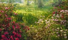 沐浴在这和煦的春风里